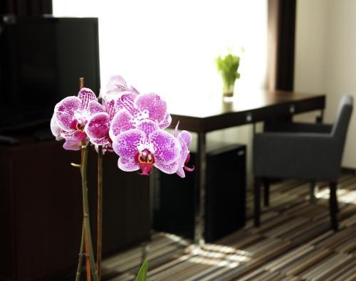 Apartamento City Center House Elephant