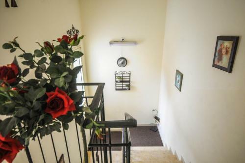 Hapina-shel-michal Hotel