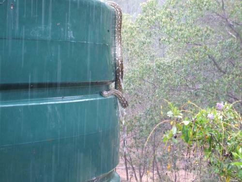 Agroturismo Bungadoo Country Cottage
