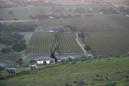 Barossa Vineyard Cottages