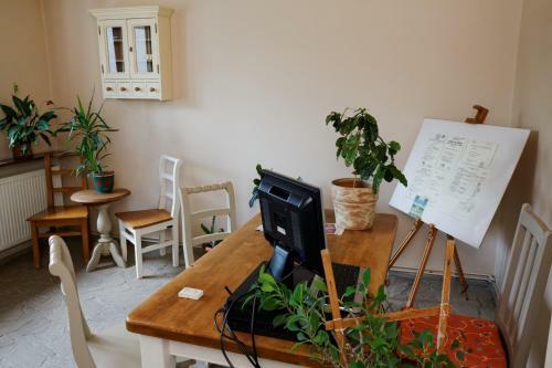 Hostal Pension Stejeris