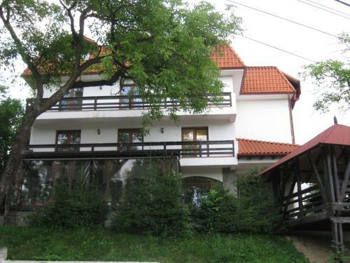 Hostal Pensiunea Moisa