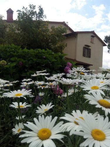 Agroturismo Da Ronald ... A Pian Del Papa
