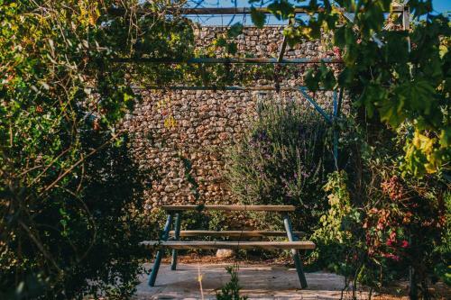 Hostal Tur Sinai Organic Farm Resort