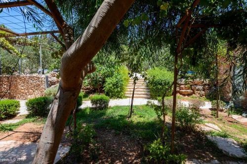Hostal Tur Sinai Organic Farm Resort