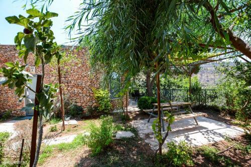 Hostal Tur Sinai Organic Farm Resort