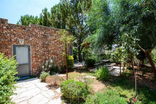 Hostal Tur Sinai Organic Farm Resort
