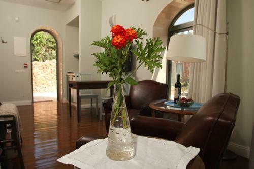 Hostal Tur Sinai Organic Farm Resort