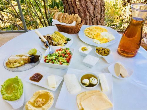 Hostal Tur Sinai Organic Farm Resort