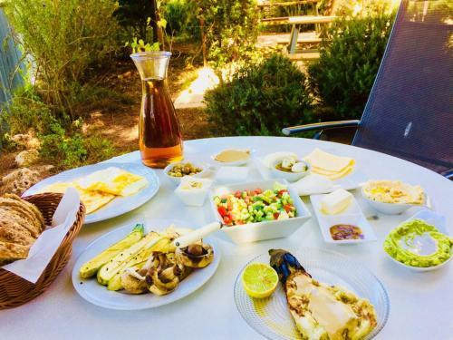 Hostal Tur Sinai Organic Farm Resort