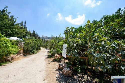Hostal Tur Sinai Organic Farm Resort