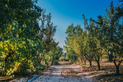 Hostal Tur Sinai Organic Farm Resort