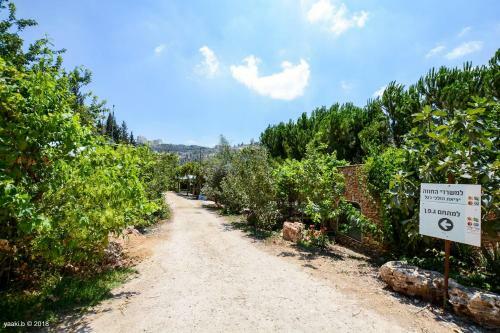 Hostal Tur Sinai Organic Farm Resort