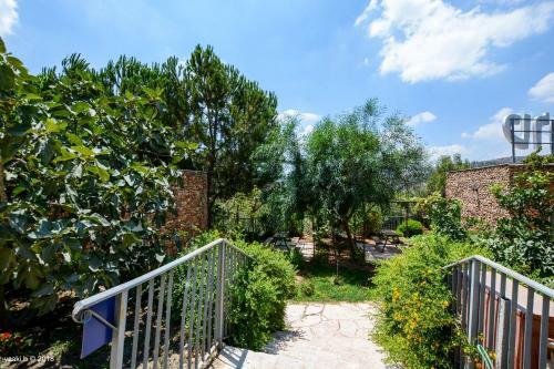 Hostal Tur Sinai Organic Farm Resort