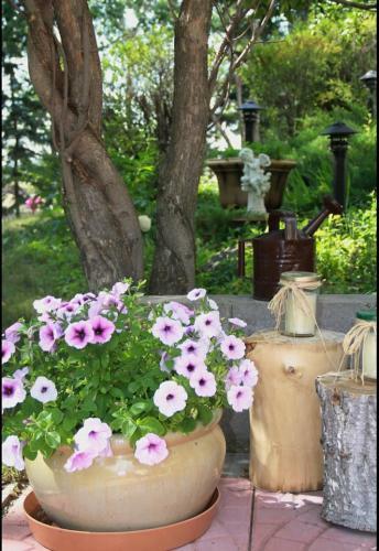 Paola Beauty Farm B&B And Day Spa
