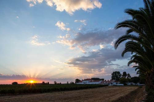 Agroturismo Herdade Da Calada