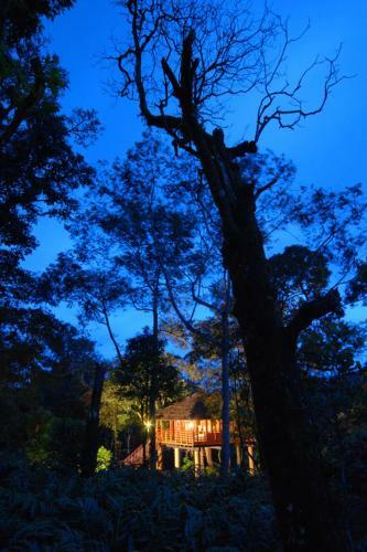 Hotel Thekkady Carmelia Haven Resort