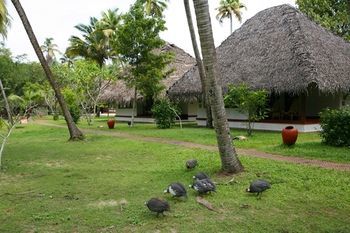 Hotel The Marari Beach Resort