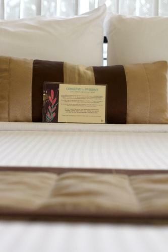 Hotel Casa Pura Inn And Suites