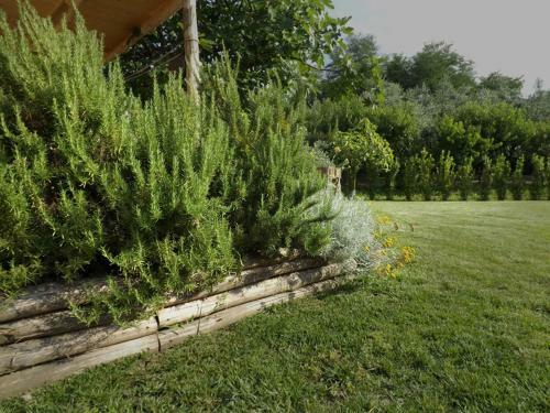 Bed & Breakfast I Due Noci