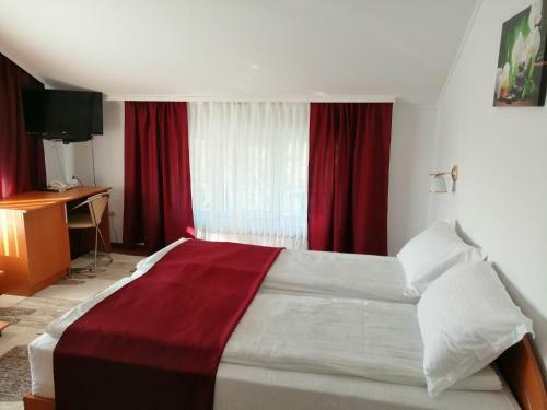 Hostal Casa Pintea
