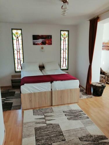 Hostal Casa Pintea