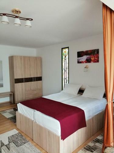 Hostal Casa Pintea