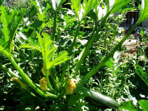 Agroturismo Country House Case Catalano