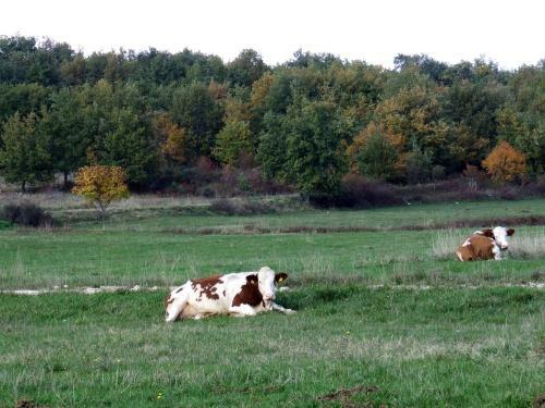 Agroturismo Country House Case Catalano