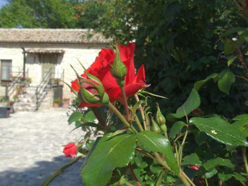 Agroturismo Country House Case Catalano