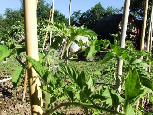 Agroturismo Country House Case Catalano