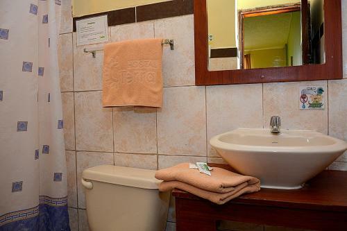 Albergue Hostal Terra 3