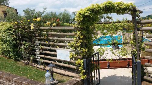 Hostal Agriturismo Poggio Agli Ulivi