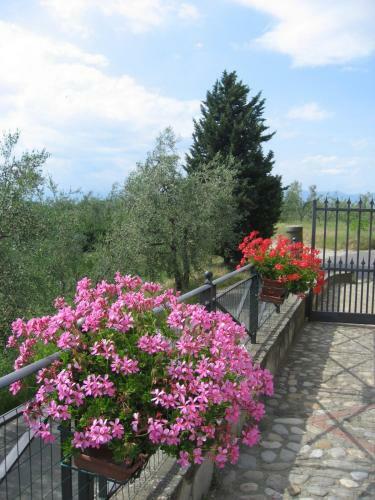 Agroturismo Agriturismo Villani Poderi Nesti & Cupoli