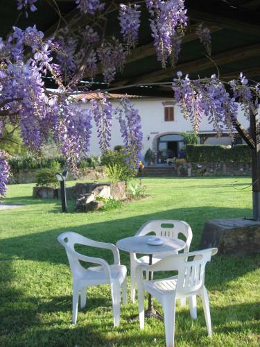 Agroturismo Agriturismo Villani Poderi Nesti & Cupoli