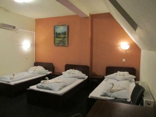 Hostal Pensiunea Magic