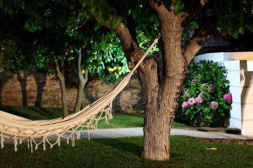 Hostal Solar De Chacim - Turismo De Habita��o