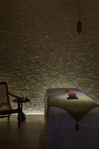 Hotel Park Hyatt Chennai