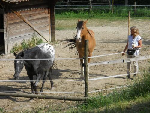 Agroturismo Agriturismo Il Rifugio