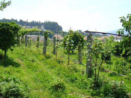 Agroturismo Quinta Da Tulha