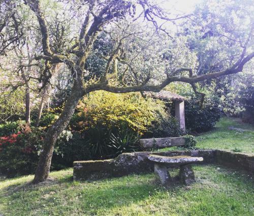 Agroturismo Casa Grande De Fuentemayor