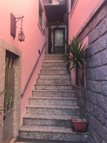 Casa Da Avo