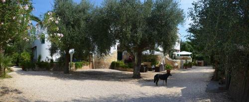 Bed & Breakfast Casa Masseria Le Ville