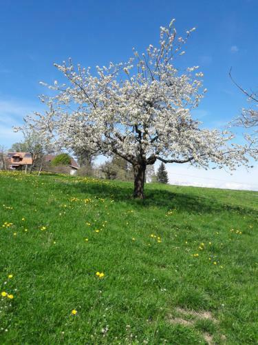Agroturismo B�hl 3