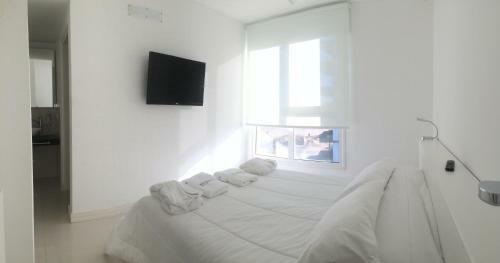 Eighteen Apartments