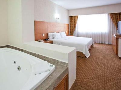 Hotel Holiday Inn Express San Luis Potosi