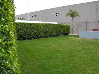 Hotel Holiday Inn Express San Luis Potosi