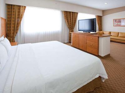Hotel Holiday Inn Express San Luis Potosi