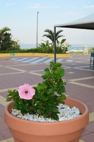 Kapenta Bay Resort And Conference Hotel