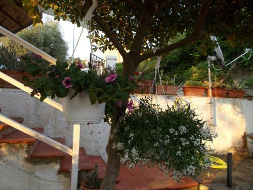 Holiday House Torre Di Manfria